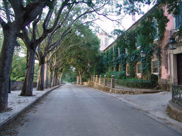 Inn Golegã Bagian luar foto