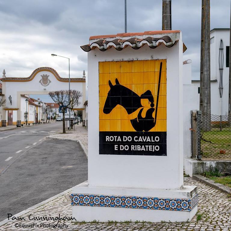 Inn Golegã Bagian luar foto