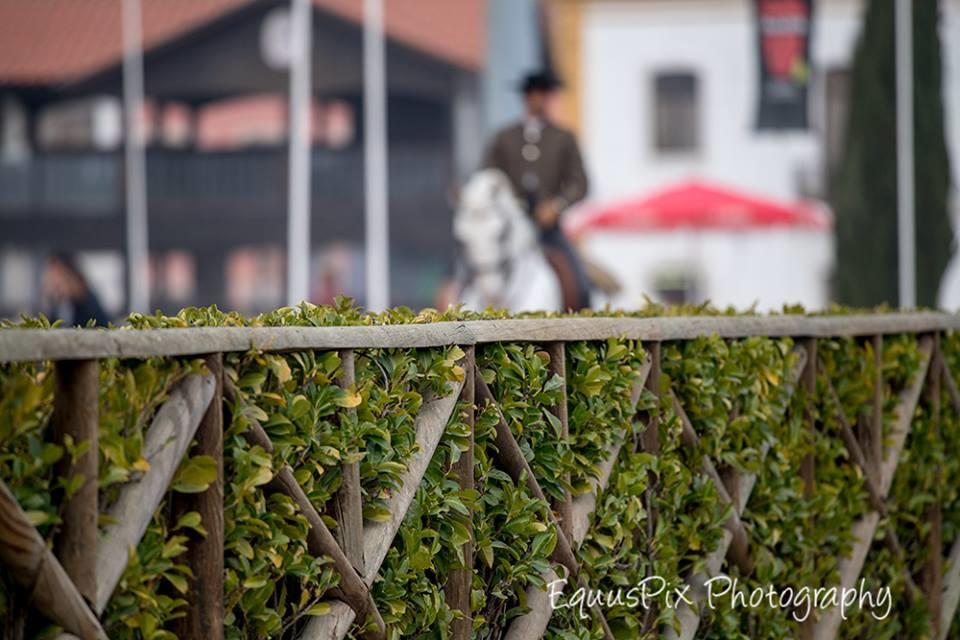 Inn Golegã Bagian luar foto