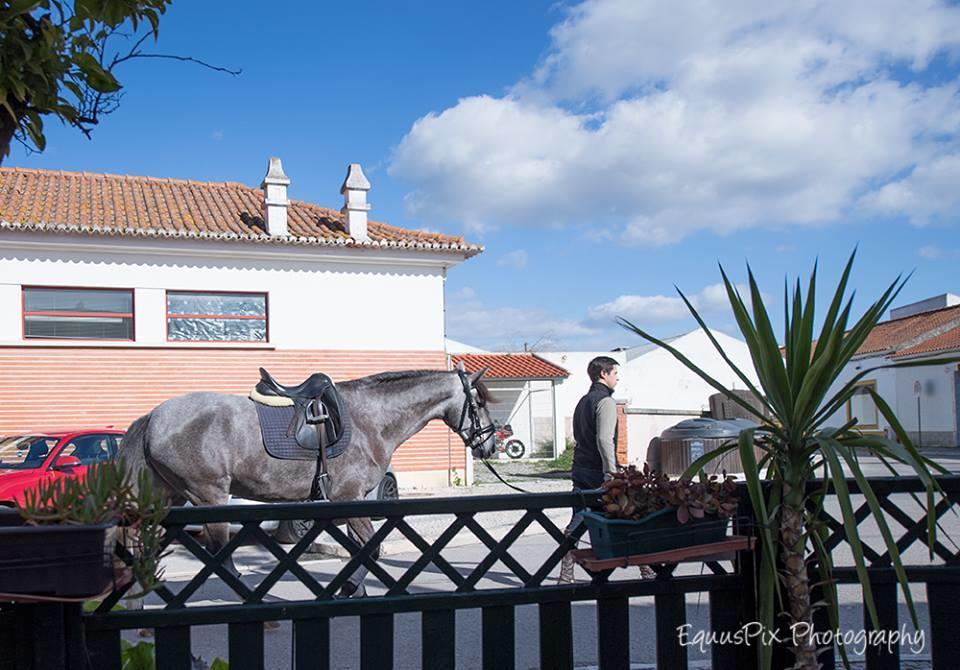 Inn Golegã Bagian luar foto