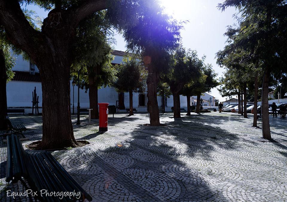 Inn Golegã Bagian luar foto
